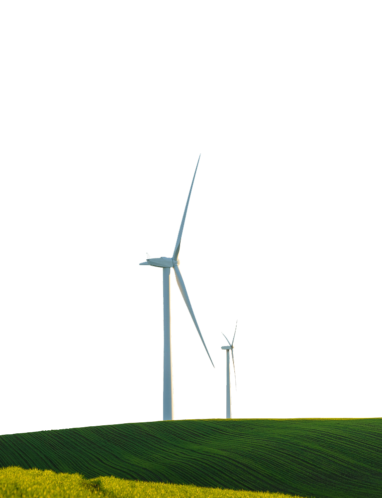 14001_certificate_img_4